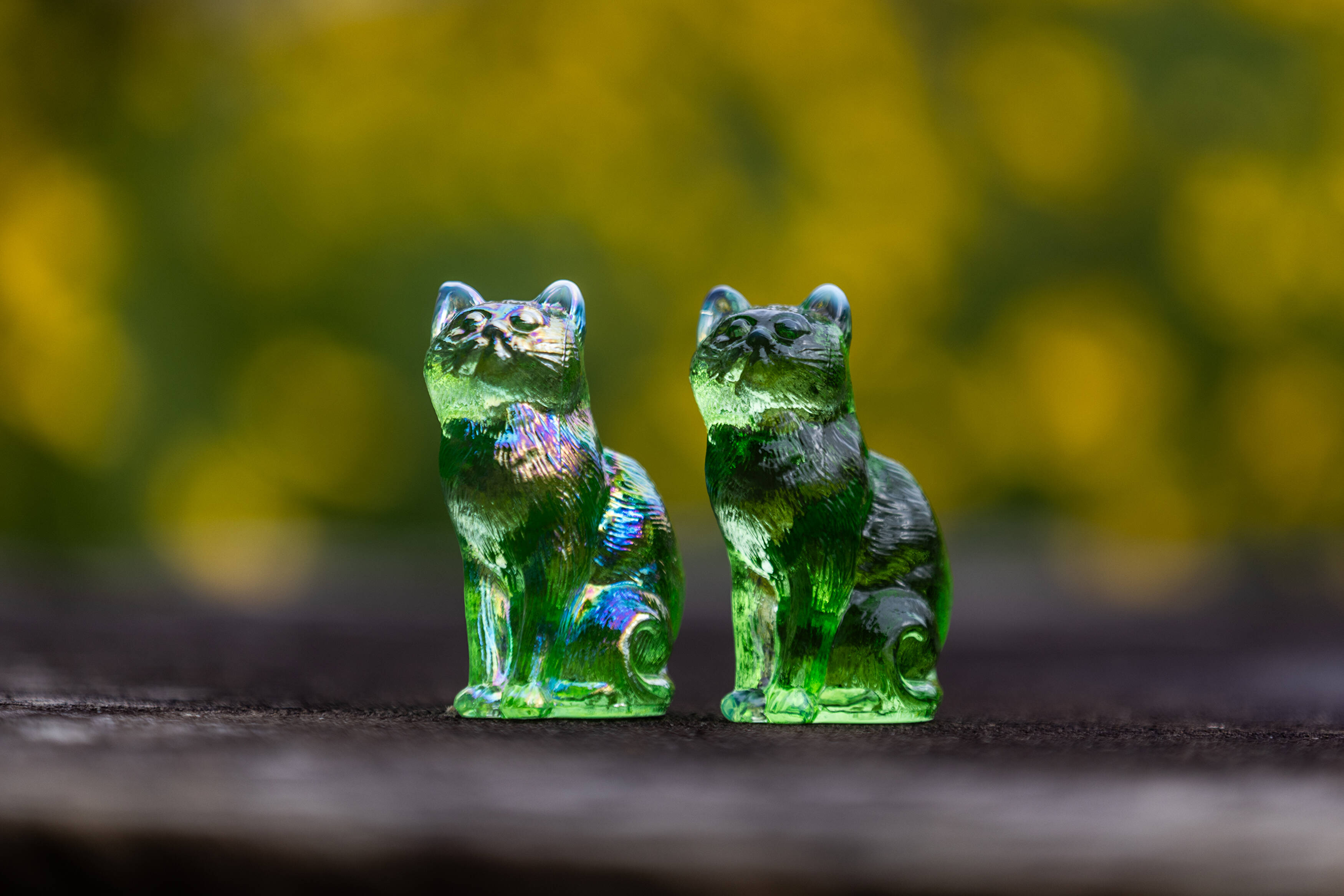 Home | Black Cat Vintage